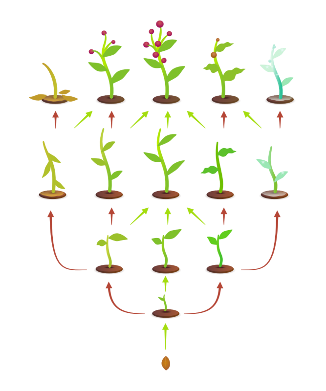 Botanica%20-%20arbre